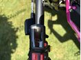 SUR-RON LIGHT BEE X 2026/1 - 6