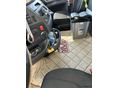 DAF 2021/8 - 4