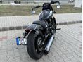 INDIAN SCOUT 2024 - 11
