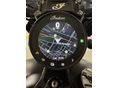 INDIAN SCOUT 2024 - 7