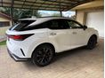 LEXUS RX 2024/11 - 3