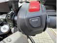 YAMAHA TÉNÉRÉ 700 2026/5 - 6