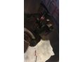 OPEL ASTRA H 2007 - 6