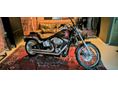 HARLEY-DAVIDSON SOFTAIL FXSTC Custom