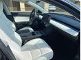 TESLA MODEL 3 2021/3 - 9