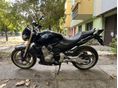 HONDA CB 600 F (HORNET) 2005/8 - 2