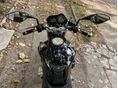 HONDA CB 600 F (HORNET) 2005/8 - 9