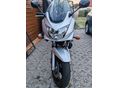 SUZUKI GSF 650 S 2005/12 - 8