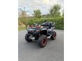 CFMOTO CFORCE 1000 2025/12 - 3