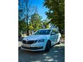 SKODA OCTAVIA Combi 1.6 CR TDI Style