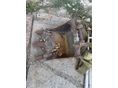 YANMAR 2007/3 - 9