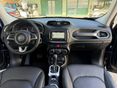 JEEP RENEGADE 2014/11 - 8
