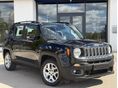 JEEP RENEGADE 2015/1 - 3