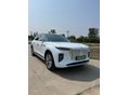 HONGQI E-HS9 2023/1 - 10