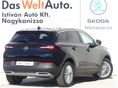 OPEL GRANDLAND X 2019/2 - 2