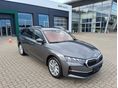 SKODA OCTAVIA 2026 - 2