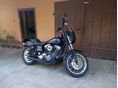 HARLEY-DAVIDSON DYNA 2003/4 - 6