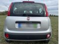 FIAT PANDA 2019/11 - 4
