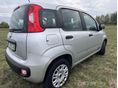 FIAT PANDA 2019/11 - 6