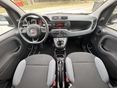 FIAT PANDA 2019/11 - 9