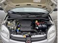 FIAT PANDA 2019/11 - 10
