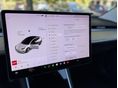 TESLA MODEL 3 2019/12 - 14