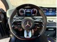 MERCEDES-AMG GLE 53 2024/4 - 15