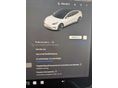 TESLA MODEL 3 2019/9 - 7