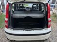FIAT PANDA 2011/6 - 19