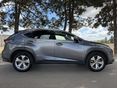 LEXUS NX 2016/1 - 5