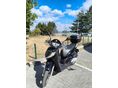 HONDA SH 125 2008 - 3