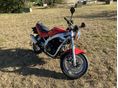 SUZUKI GS 500 E 1993 - 2