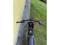 SUR-RON LIGHT BEE X 2020/12 - 4