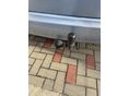 HONDA JAZZ 2010/3 - 2