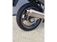 SUZUKI GS 500 E 1999/4 - 7