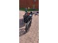 HARLEY-DAVIDSON SPORTSTER 883 IRON 2021/1 - 2