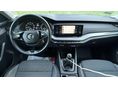 SKODA OCTAVIA 2021/11 - 5
