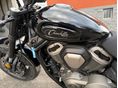 BENDA CHINCILLA 500 2026/4 - 3