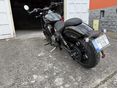 BENDA CHINCILLA 500 2026/4 - 4
