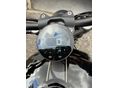 BENDA CHINCILLA 500 2026/4 - 5