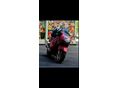 HONDA CBR 1100 XX 1999/1 - 1