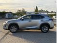LEXUS NX 2020/4 - 4