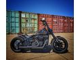HARLEY-DAVIDSON SOFTAIL 2019/1 - 1