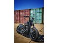 HARLEY-DAVIDSON SOFTAIL 2019/1 - 3