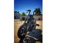 HARLEY-DAVIDSON SOFTAIL 2019/1 - 4