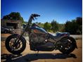 HARLEY-DAVIDSON SOFTAIL 2019/1 - 2