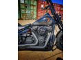 HARLEY-DAVIDSON SOFTAIL 2019/1 - 9