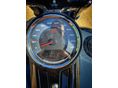 HARLEY-DAVIDSON SOFTAIL 2019/1 - 10