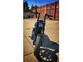 HARLEY-DAVIDSON SOFTAIL 2019/1 - 7