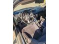 ALFA ROMEO GT 2005/5 - 4